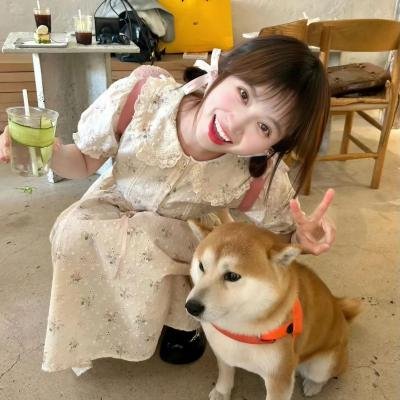 咎狗之血